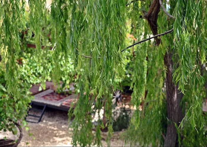 Kas Doga Park Hotel Bed and breakfast Kaş