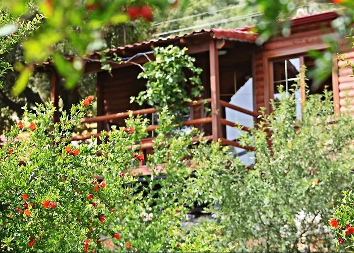 Bed and breakfast Kas Doga Park Hotel *