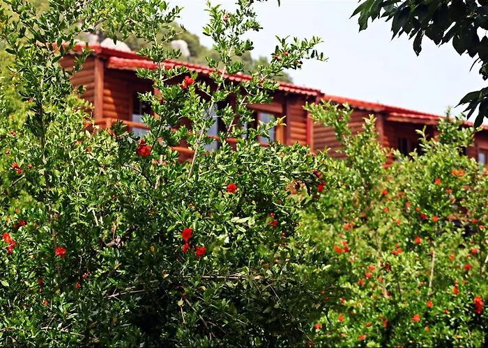 Bed and breakfast Kas Doga Park Hotel *