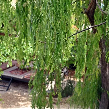 Kas Doga Park Hotel לינה וארוחת בוקר קס