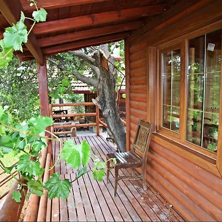 לינה וארוחת בוקר Kas Doga Park Hotel *