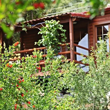 לינה וארוחת בוקר Kas Doga Park Hotel *