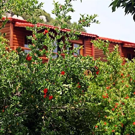 לינה וארוחת בוקר Kas Doga Park Hotel *