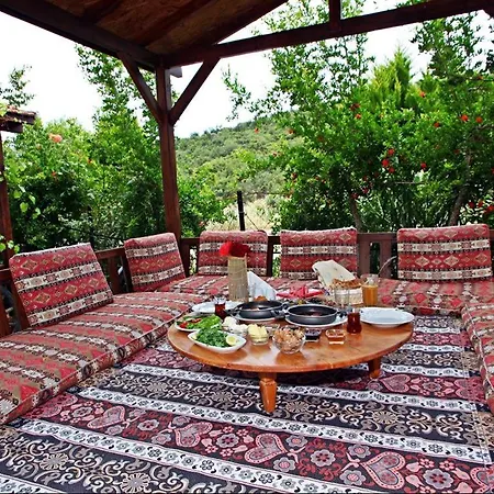 לינה וארוחת בוקר Kas Doga Park Hotel *